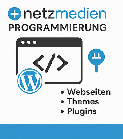 Infografik Programmierung